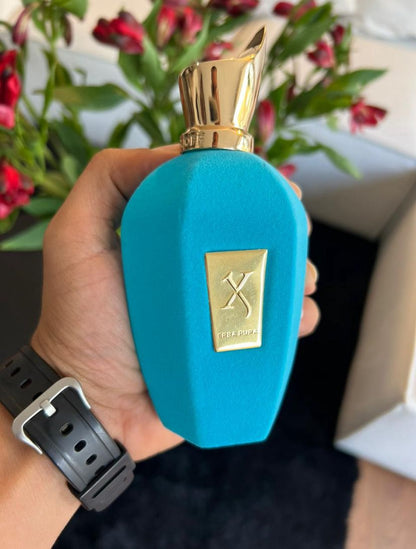Erba Pura Xerjoff - 100ml + OBSEQUIO